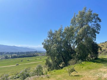 ¡Nuevas parcelas desde 5.000 m² en María Pinto a solo 25 minutos de Melipilla! Terrenos planos y con topografía diversa