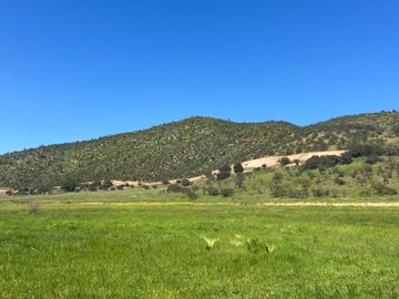 ¡Nuevas parcelas desde 5.000 m² en María Pinto a solo 25 minutos de Melipilla! Terrenos planos y con topografía diversa