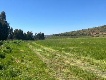 ¡Nuevas parcelas desde 5.000 m² en María Pinto a solo 25 minutos de Melipilla! Terrenos planos y con topografía diversa