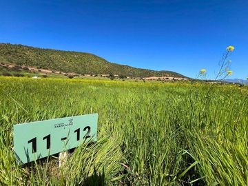 ¡Nuevas parcelas desde 5.000 m² en María Pinto a solo 25 minutos de Melipilla! Terrenos planos y con topografía diversa