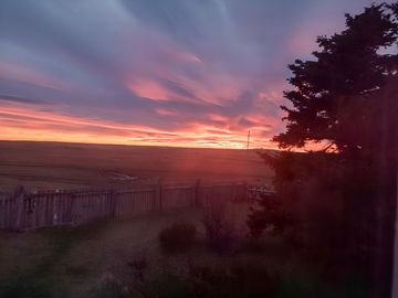 Campo en Tierra del Fuego, Estancia Indiana con 2000 hectáreas - Región de Magallanes