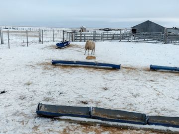 Campo en Tierra del Fuego, Estancia Indiana con 2000 hectáreas - Región de Magallanes