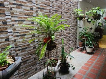 SE VENDE PROPIEDAD DE 3 RENTAS EN EL PRÍNCIPE