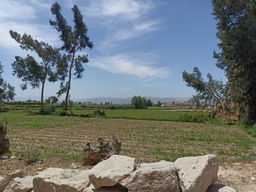 VENDO TERRENO AGRICOLA 28000M2 EN  IRRIGACION ZAMACOLA VIA EVITAMIENTO