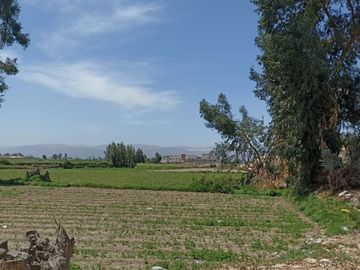 VENDO TERRENO AGRICOLA 28000M2 EN  IRRIGACION ZAMACOLA VIA EVITAMIENTO