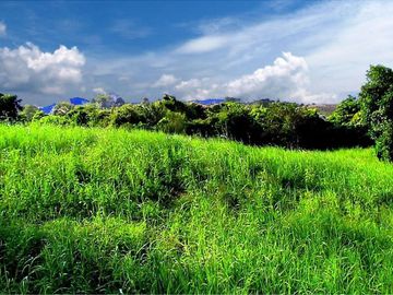 19,999 m2 Unlimited Potential in this Leisure Estate