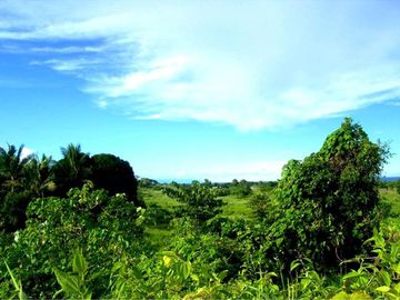 19,999 m2 Unlimited Potential in this Leisure Estate