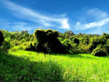 19,999 m2 Unlimited Potential in this Leisure Estate