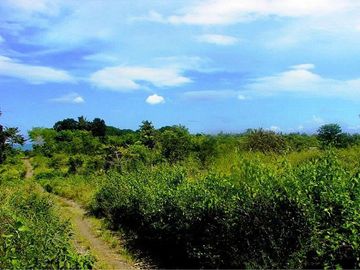 19,999 m2 Unlimited Potential in this Leisure Estate