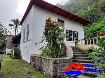 SE VENDE DE OPORTUNIDAD HERMOSA HACIENDA GANADERA EN PRODUCCIÓN 246,37 HAS. ALLURIQUIN – SANTO DOMINGO - ECUADOR