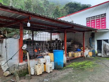 SE VENDE DE OPORTUNIDAD HERMOSA HACIENDA GANADERA EN PRODUCCIÓN 246,37 HAS. ALLURIQUIN – SANTO DOMINGO - ECUADOR