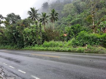 SE VENDE DE OPORTUNIDAD HERMOSA HACIENDA GANADERA EN PRODUCCIÓN 246,37 HAS. ALLURIQUIN – SANTO DOMINGO - ECUADOR