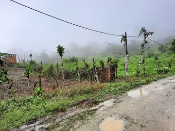 SE VENDE DE OPORTUNIDAD HERMOSA HACIENDA GANADERA EN PRODUCCIÓN 246,37 HAS. ALLURIQUIN – SANTO DOMINGO - ECUADOR