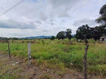 SE VENDE HERMOSA HACIENDA GANADERA 240 HAS. EN PRODUCCIÓN, Y MINA DE MATERIAL PETREO DE RÍO, ESMERALDAS - ECUADOR