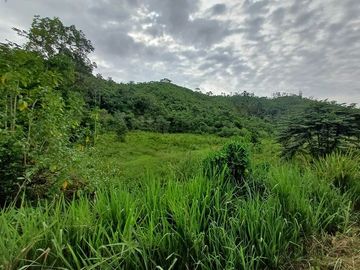 SE VENDE HERMOSA HACIENDA GANADERA 240 HAS. EN PRODUCCIÓN, Y MINA DE MATERIAL PETREO DE RÍO, ESMERALDAS - ECUADOR