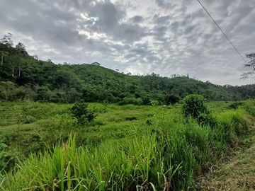 SE VENDE HERMOSA HACIENDA GANADERA 240 HAS. EN PRODUCCIÓN, Y MINA DE MATERIAL PETREO DE RÍO, ESMERALDAS - ECUADOR