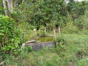 SE VENDE HERMOSA HACIENDA GANADERA 240 HAS. EN PRODUCCIÓN, Y MINA DE MATERIAL PETREO DE RÍO, ESMERALDAS - ECUADOR