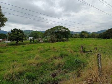 SE VENDE HERMOSA HACIENDA GANADERA 240 HAS. EN PRODUCCIÓN, Y MINA DE MATERIAL PETREO DE RÍO, ESMERALDAS - ECUADOR
