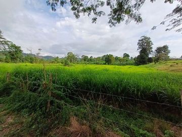 SE VENDE HERMOSA HACIENDA GANADERA 240 HAS. EN PRODUCCIÓN, Y MINA DE MATERIAL PETREO DE RÍO, ESMERALDAS - ECUADOR