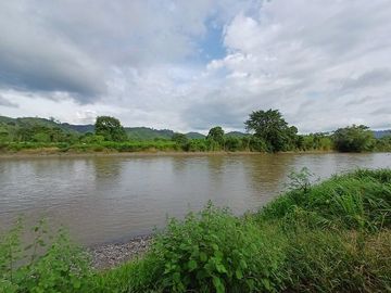 SE VENDE HERMOSA HACIENDA GANADERA 240 HAS. EN PRODUCCIÓN, Y MINA DE MATERIAL PETREO DE RÍO, ESMERALDAS - ECUADOR