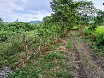SE VENDE HERMOSA HACIENDA GANADERA 240 HAS. EN PRODUCCIÓN, Y MINA DE MATERIAL PETREO DE RÍO, ESMERALDAS - ECUADOR