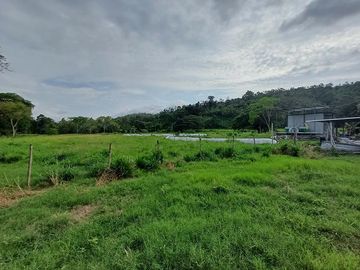 SE VENDE HERMOSA HACIENDA GANADERA 240 HAS. EN PRODUCCIÓN, Y MINA DE MATERIAL PETREO DE RÍO, ESMERALDAS - ECUADOR