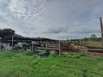 SE VENDE HERMOSA HACIENDA GANADERA 240 HAS. EN PRODUCCIÓN, Y MINA DE MATERIAL PETREO DE RÍO, ESMERALDAS - ECUADOR