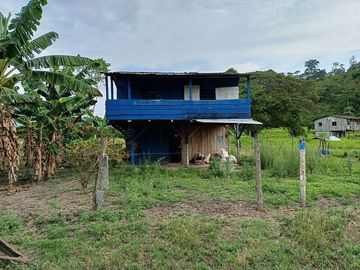 SE VENDE HERMOSA HACIENDA GANADERA 240 HAS. EN PRODUCCIÓN, Y MINA DE MATERIAL PETREO DE RÍO, ESMERALDAS - ECUADOR