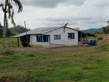 SE VENDE HERMOSA HACIENDA GANADERA 240 HAS. EN PRODUCCIÓN, Y MINA DE MATERIAL PETREO DE RÍO, ESMERALDAS - ECUADOR