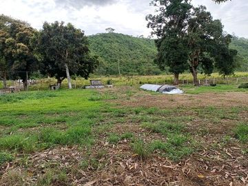 SE VENDE HERMOSA HACIENDA GANADERA 240 HAS. EN PRODUCCIÓN, Y MINA DE MATERIAL PETREO DE RÍO, ESMERALDAS - ECUADOR