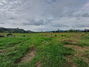 SE VENDE HERMOSA HACIENDA GANADERA 240 HAS. EN PRODUCCIÓN, Y MINA DE MATERIAL PETREO DE RÍO, ESMERALDAS - ECUADOR