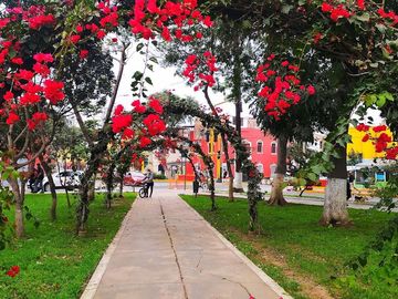 VENTA DE TERRENO EN PUEBLO LIBRE
