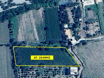 TERRENO EN VENTA - LUNAHUANÁ, CAÑETE