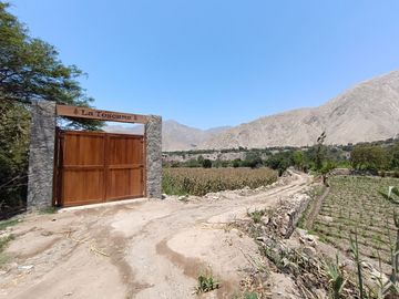 TERRENO EN VENTA - LUNAHUANÁ, CAÑETE