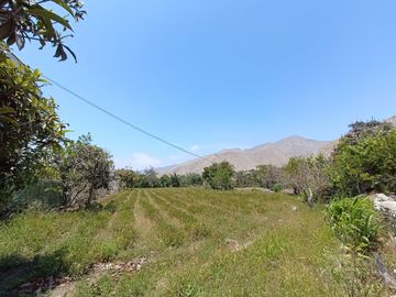 TERRENO EN VENTA - LUNAHUANÁ, CAÑETE