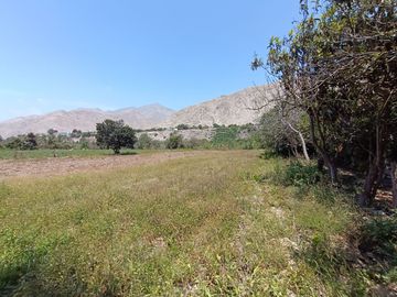 TERRENO EN VENTA - LUNAHUANÁ, CAÑETE