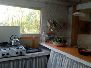 SE VENDE DE OPORTUNIDAD FINCA AGRÍCOLA EN PRODUCCIÓN 101 HAS.  DURENO - LAGO AGRIO - SUCUMBIOS - ECUADOR