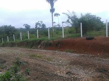 SE VENDE DE OPORTUNIDAD FINCA AGRÍCOLA EN PRODUCCIÓN 101 HAS.  DURENO - LAGO AGRIO - SUCUMBIOS - ECUADOR