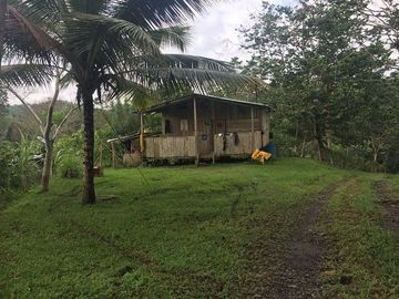 SE VENDE DE OPORTUNIDAD FINCA AGRÍCOLA CACAOTERA EN PRODUCCIÓN 42 HAS. SANTA ELVIRA - QUININDE – ESMERALDAS - ECUADOR