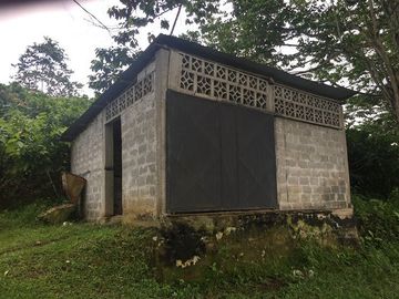 SE VENDE DE OPORTUNIDAD FINCA AGRÍCOLA CACAOTERA EN PRODUCCIÓN 42 HAS. SANTA ELVIRA - QUININDE – ESMERALDAS - ECUADOR