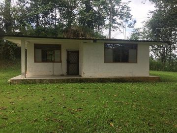 SE VENDE DE OPORTUNIDAD FINCA AGRÍCOLA CACAOTERA EN PRODUCCIÓN 42 HAS. SANTA ELVIRA - QUININDE – ESMERALDAS - ECUADOR