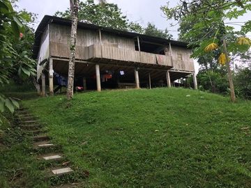 SE VENDE DE OPORTUNIDAD FINCA AGRÍCOLA CACAOTERA EN PRODUCCIÓN 42 HAS. SANTA ELVIRA - QUININDE – ESMERALDAS - ECUADOR