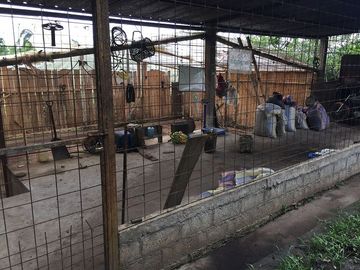 SE VENDE DE OPORTUNIDAD FINCA AGRÍCOLA CACAOTERA EN PRODUCCIÓN 42 HAS. SANTA ELVIRA - QUININDE – ESMERALDAS - ECUADOR