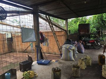 SE VENDE DE OPORTUNIDAD FINCA AGRÍCOLA CACAOTERA EN PRODUCCIÓN 42 HAS. SANTA ELVIRA - QUININDE – ESMERALDAS - ECUADOR