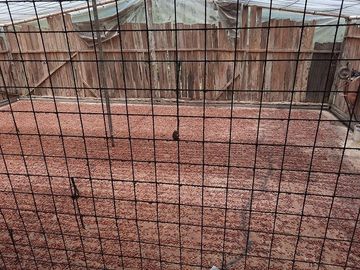 SE VENDE DE OPORTUNIDAD FINCA AGRÍCOLA CACAOTERA EN PRODUCCIÓN 42 HAS. SANTA ELVIRA - QUININDE – ESMERALDAS - ECUADOR