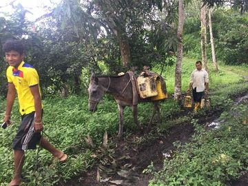 SE VENDE DE OPORTUNIDAD FINCA AGRÍCOLA CACAOTERA EN PRODUCCIÓN 42 HAS. SANTA ELVIRA - QUININDE – ESMERALDAS - ECUADOR