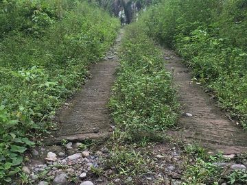 SE VENDE DE OPORTUNIDAD FINCA AGRÍCOLA CACAOTERA EN PRODUCCIÓN 42 HAS. SANTA ELVIRA - QUININDE – ESMERALDAS - ECUADOR