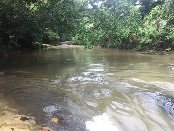 SE VENDE DE OPORTUNIDAD FINCA AGRÍCOLA CACAOTERA EN PRODUCCIÓN 42 HAS. SANTA ELVIRA - QUININDE – ESMERALDAS - ECUADOR