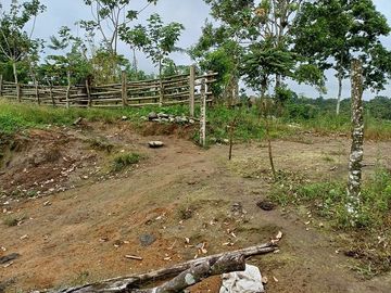 SE VENDE FINCA AGRÍCOLA 5,6 HECTAREAS,  PUERTO QUITO – PICHINCHA - ECUADOR