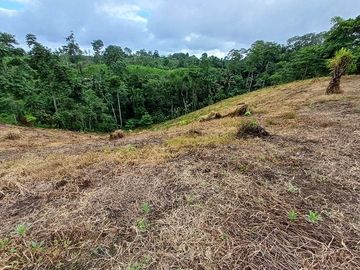 SE VENDE FINCA AGRÍCOLA 5,6 HECTAREAS,  PUERTO QUITO – PICHINCHA - ECUADOR